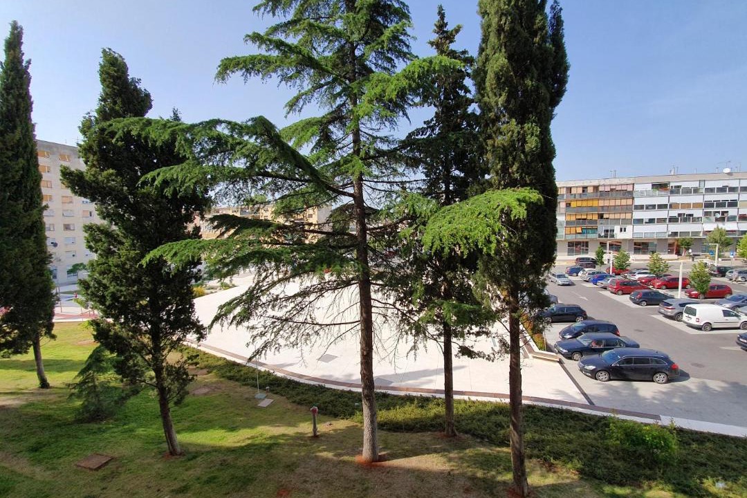 Photo of Others in Veruda