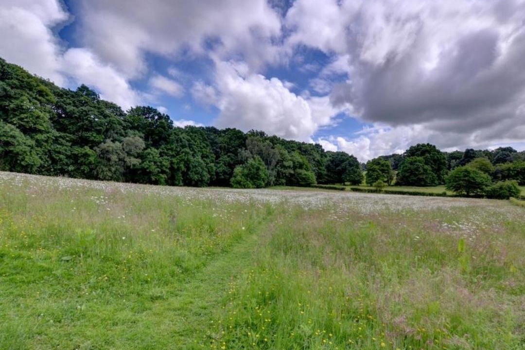 Photo of Others in Abbess Roding