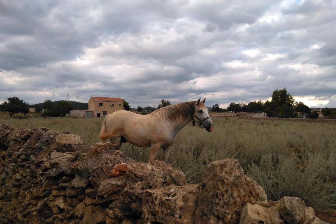Photo of Others in Villafranca del Cid