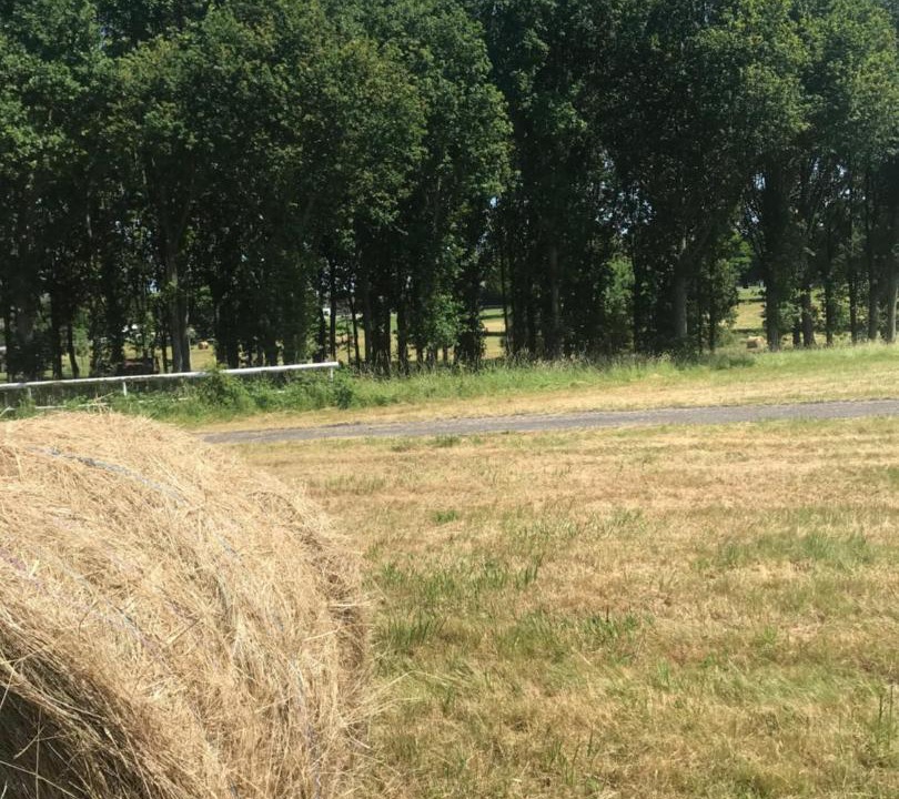 Photo of Others in Ranes