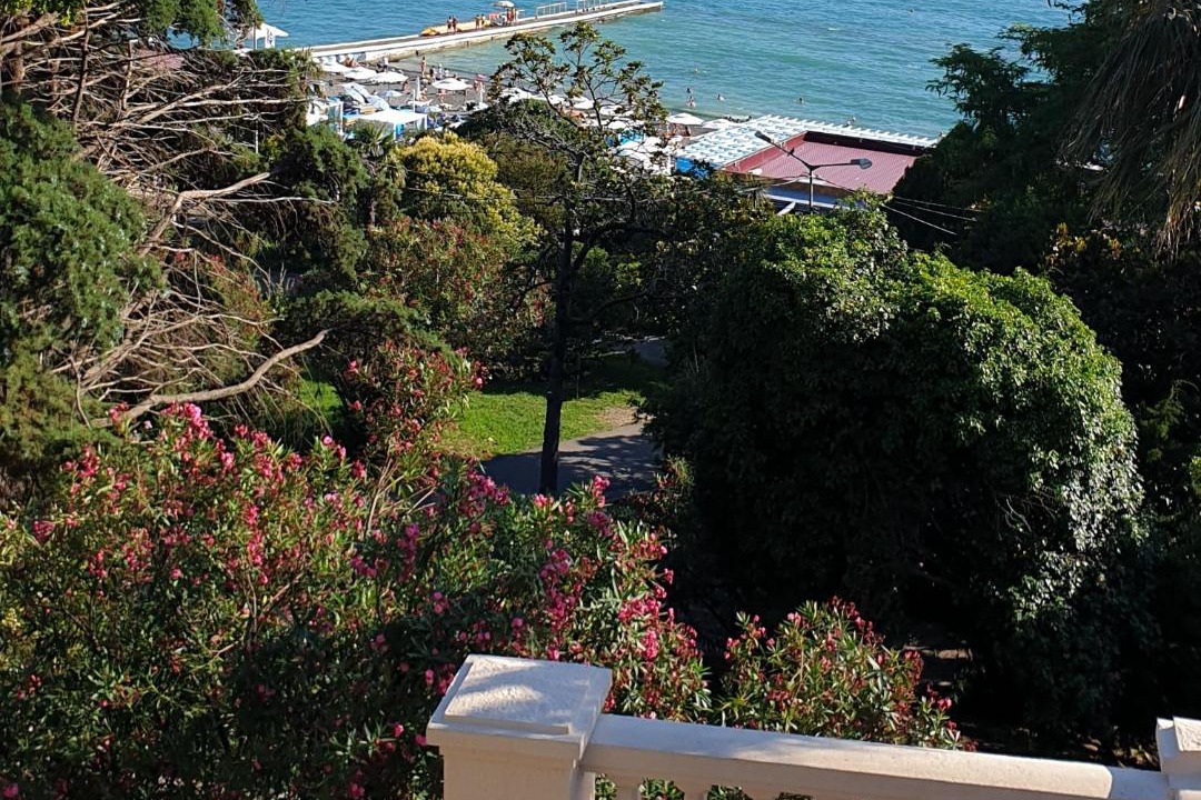 Photo of Others in Sochi City Centre