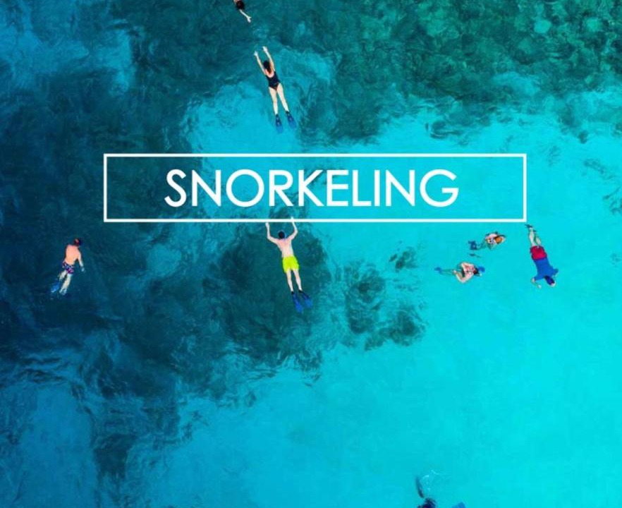 Photo of Others in Porquerolles