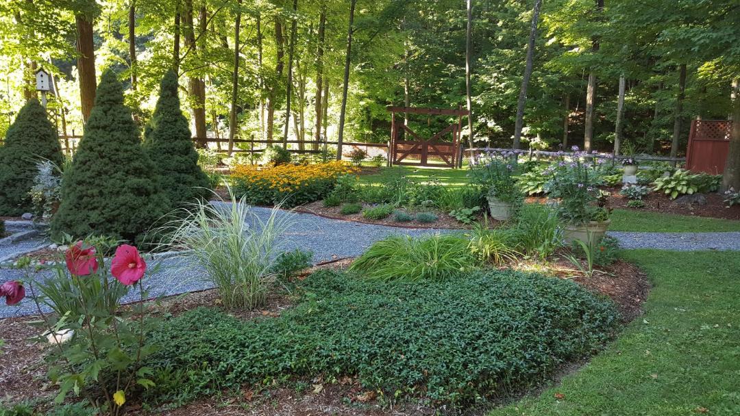 Photo of Others in Middlebury