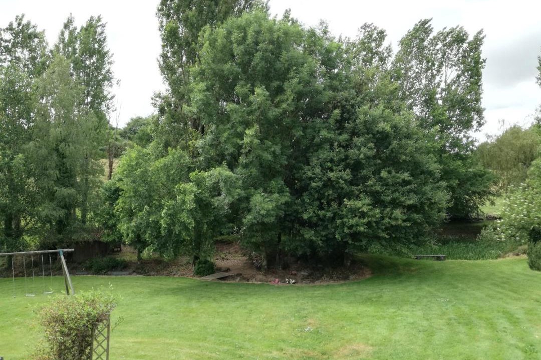 Photo of Others in Les Epesses