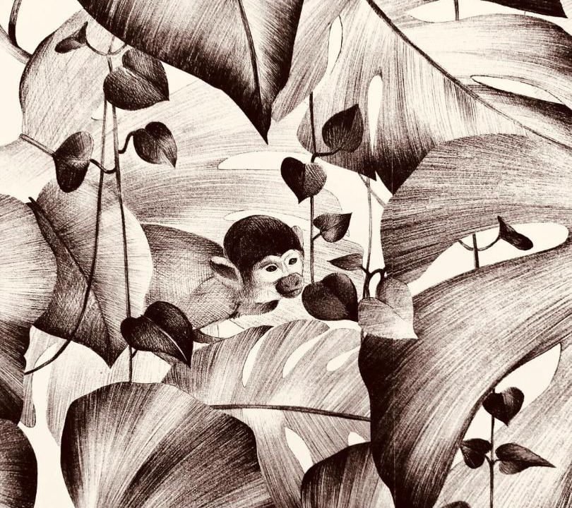 Photo of Others in Sainte-Bazeille