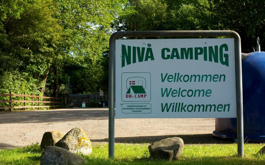 Photo of Others in Niva