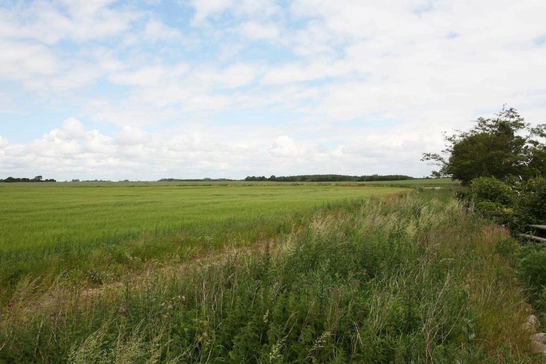 Photo of Outdoor in Vordingborg