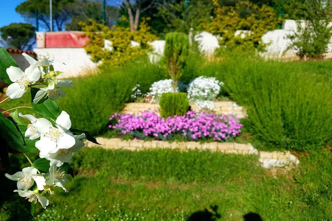 Photo of Others in Brulo