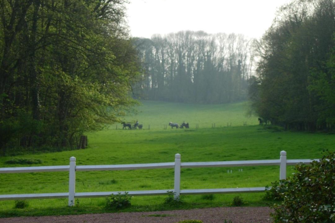 Photo of Others in Maissemy