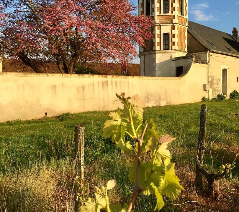 Photo of Buildings in Mosnes
