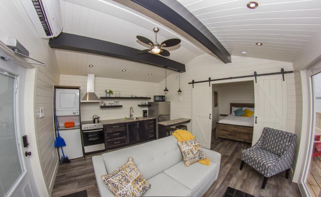 Photo of Others in Port Saunders