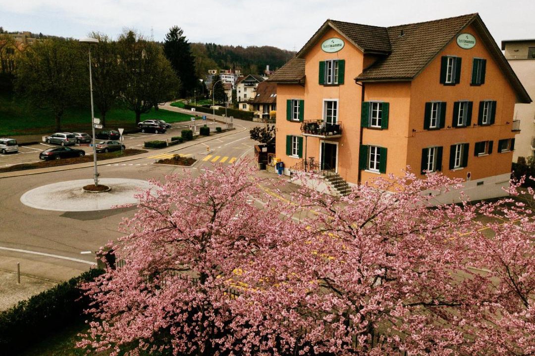 Photo of Others in Bremgarten