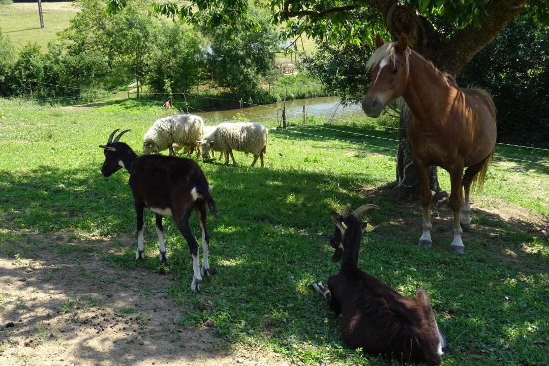 Photo of Others in La Flocelliere