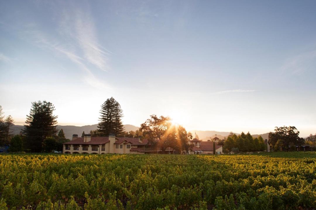 Photo of Others in Yountville