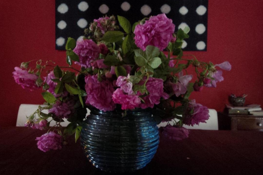 Photo of Others in Adissan