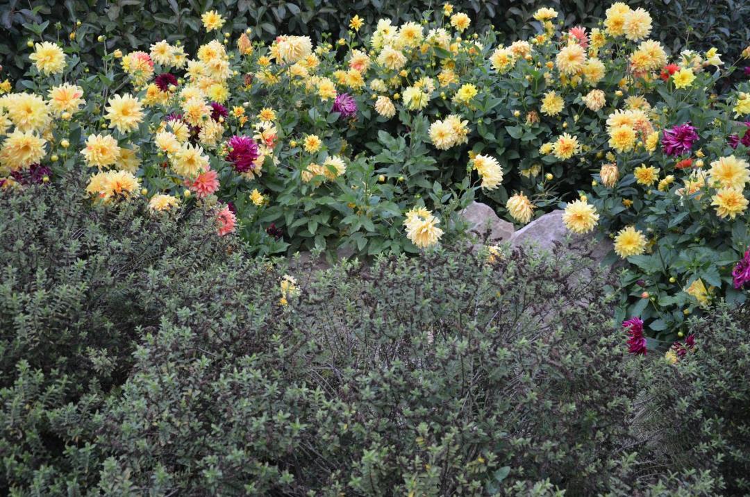 Photo of Outdoor in Bauge