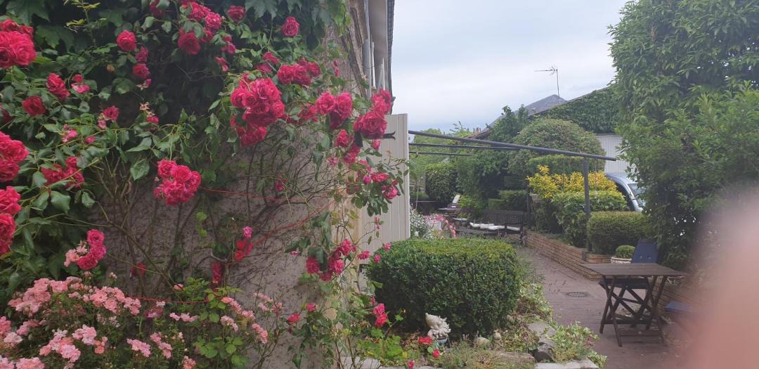 Photo of Others in Charleville-Mezieres