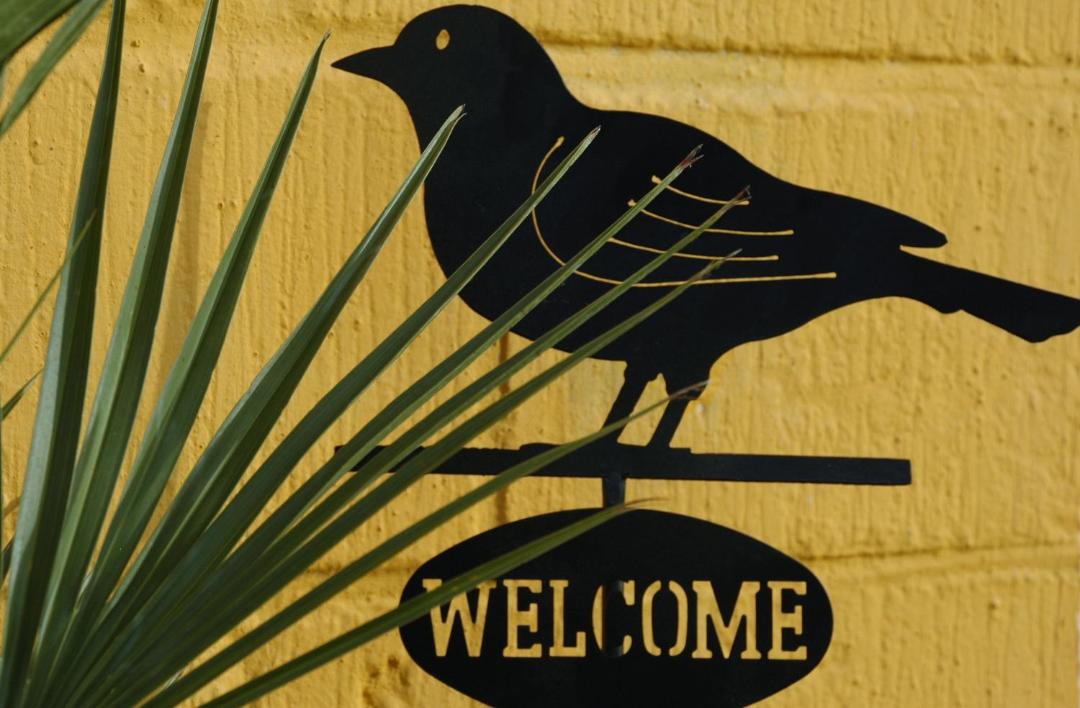 Photo of Others in Randers