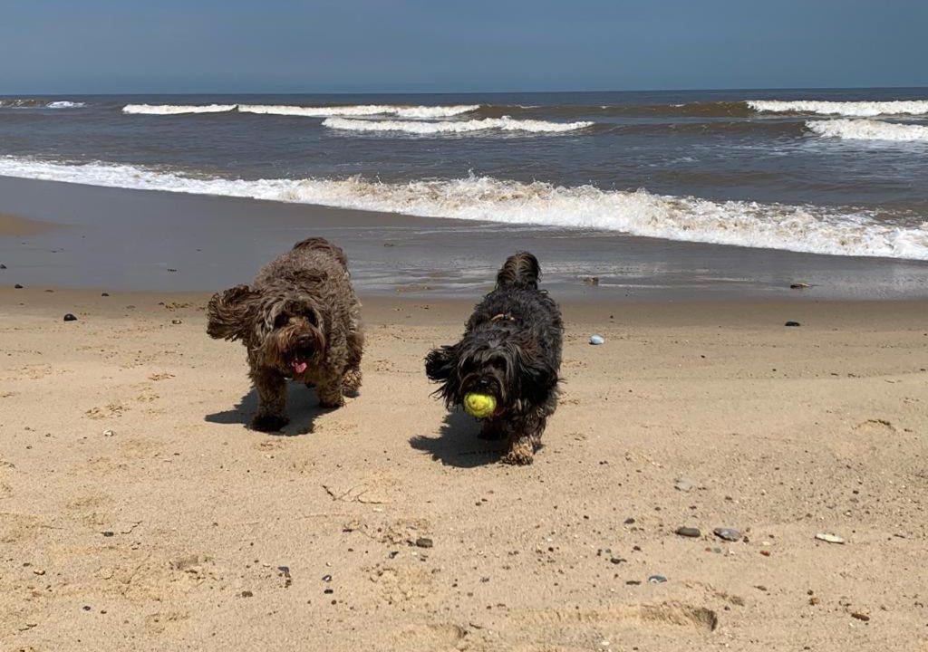 Photo of Outdoor in Happisburgh