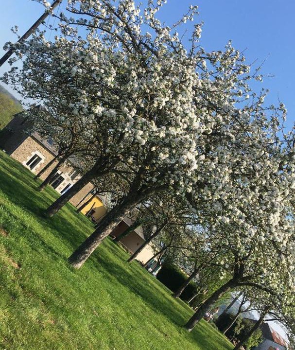 Photo of Buildings in Saint-Laurent-de-Terregatte