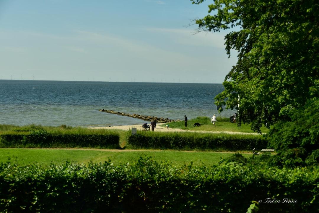 Photo of Others in Nysted