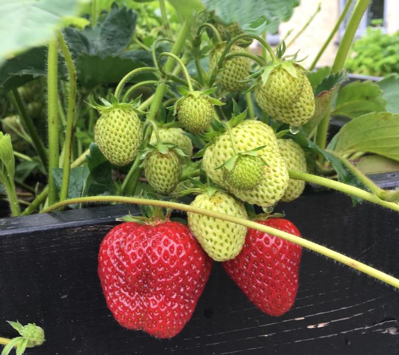 Photo of Others in Nordborg