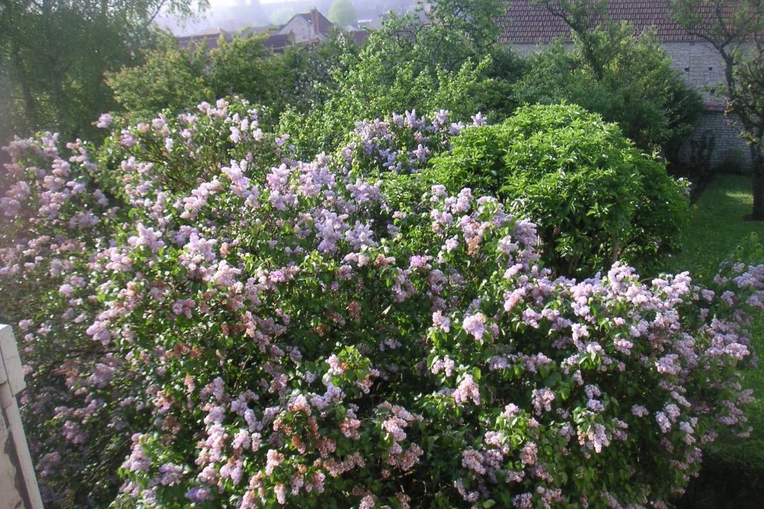 Photo of Others in Stigny