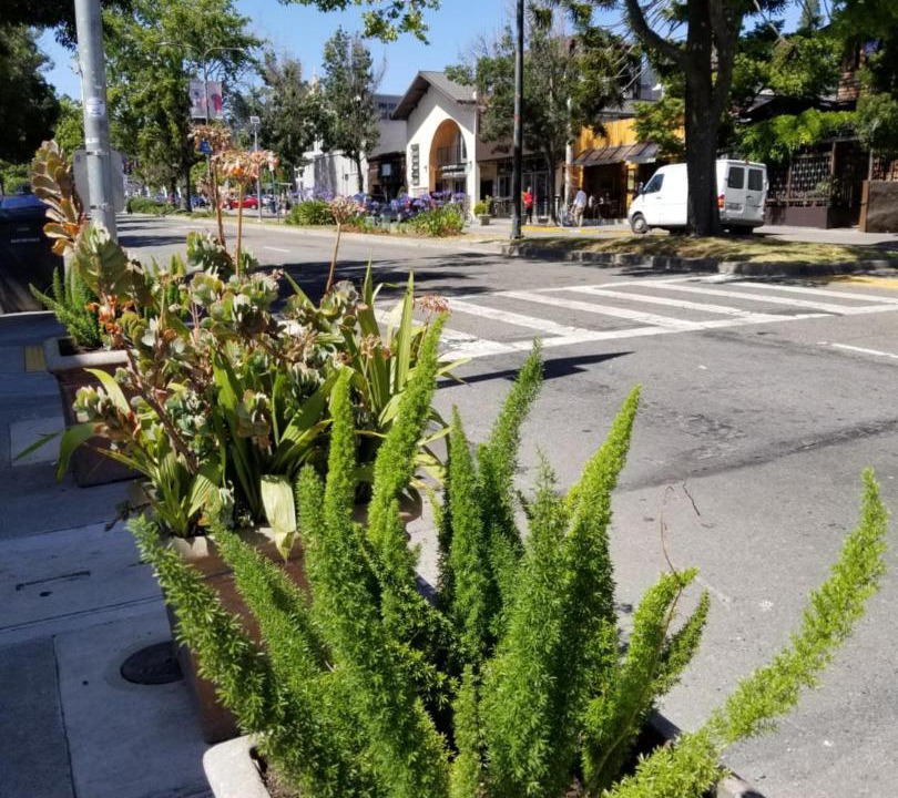 Photo of Others in North Berkeley