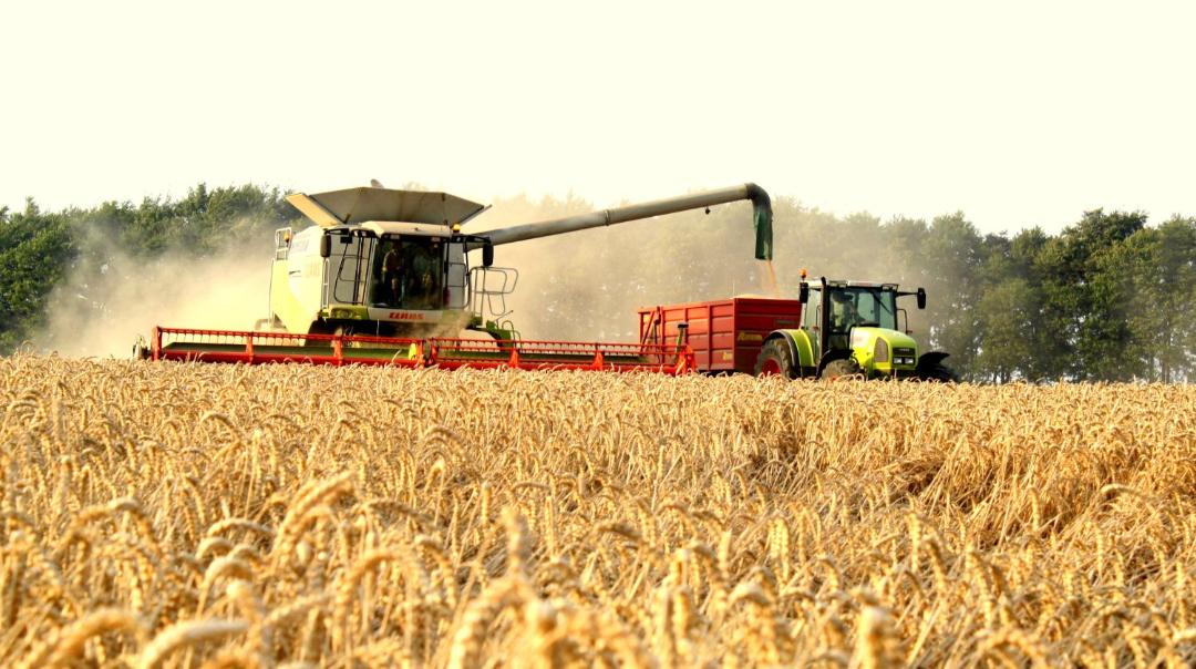 Photo of Others in Bourton