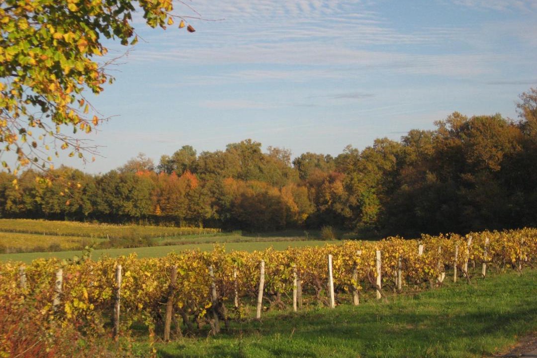 Photo of Outdoor in Soubran