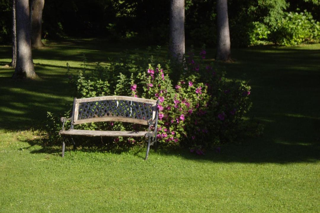 Photo of Others in Cleres