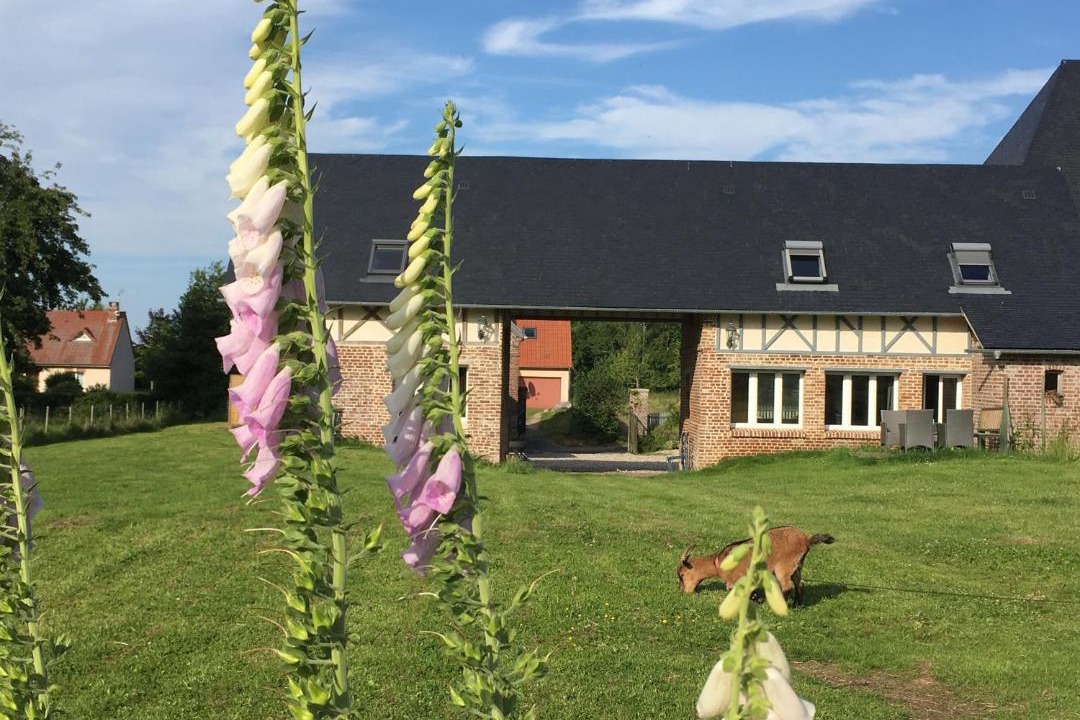 Photo of Others in Petit-Caux