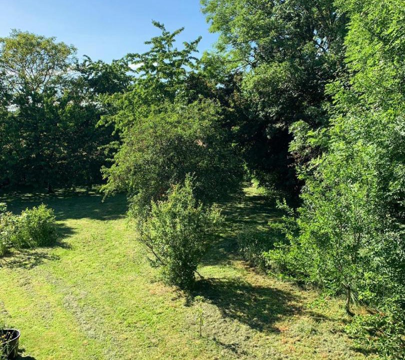 Photo of Others in Sainpuits