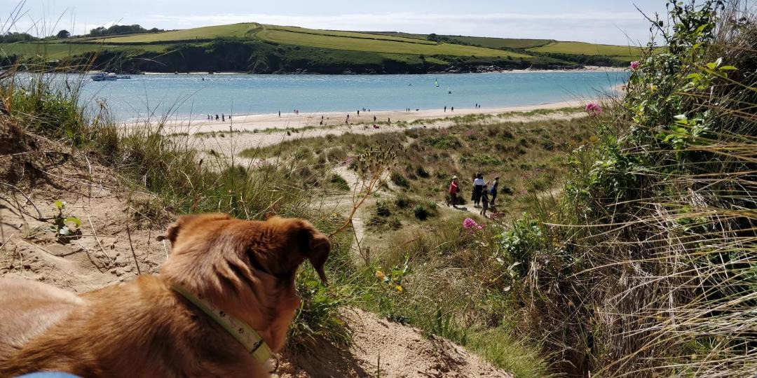 Photo of Outdoor in St Minver