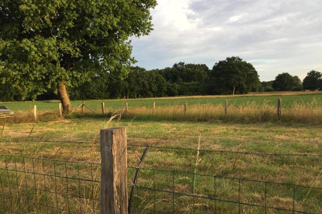 Photo of Others in Arnage