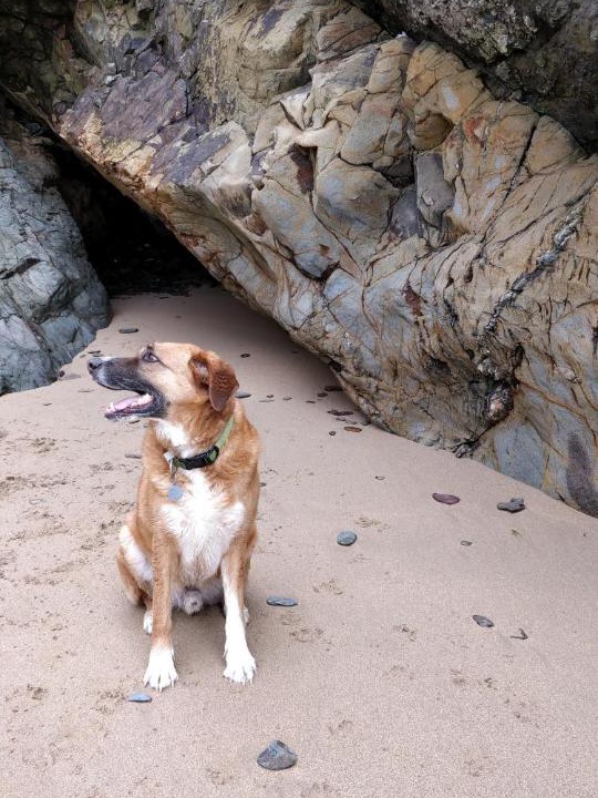 Photo of Others in St Minver