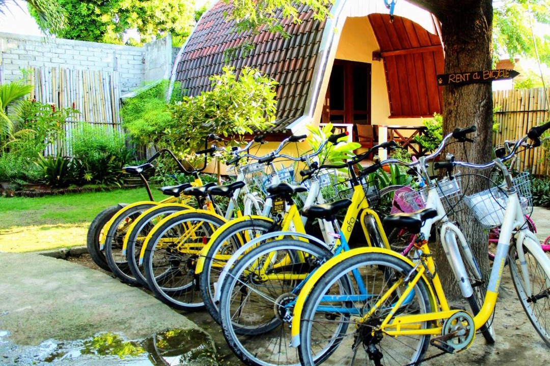 Photo of Others in Gili Trawangan