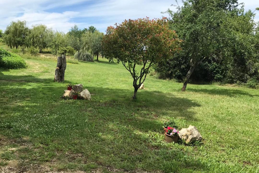 Photo of Outdoor in Gondrin