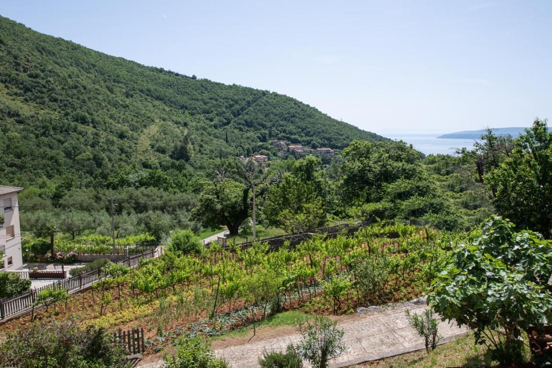 Photo of Others in Sucici