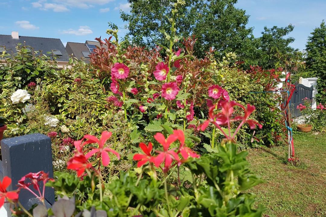 Photo of Outdoor in Coueron