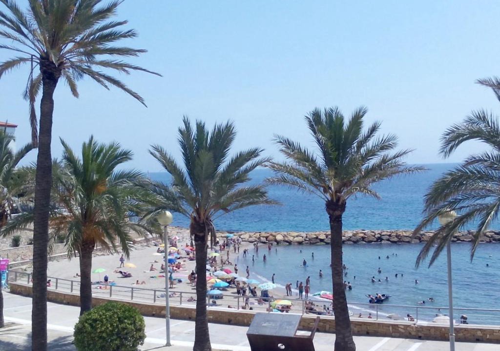 Photo of Others in Calafat