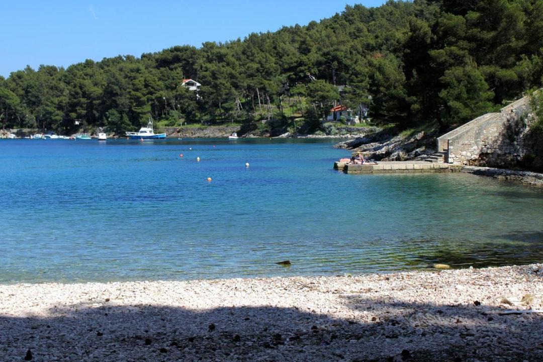 Photo of Others in Cove Murtar