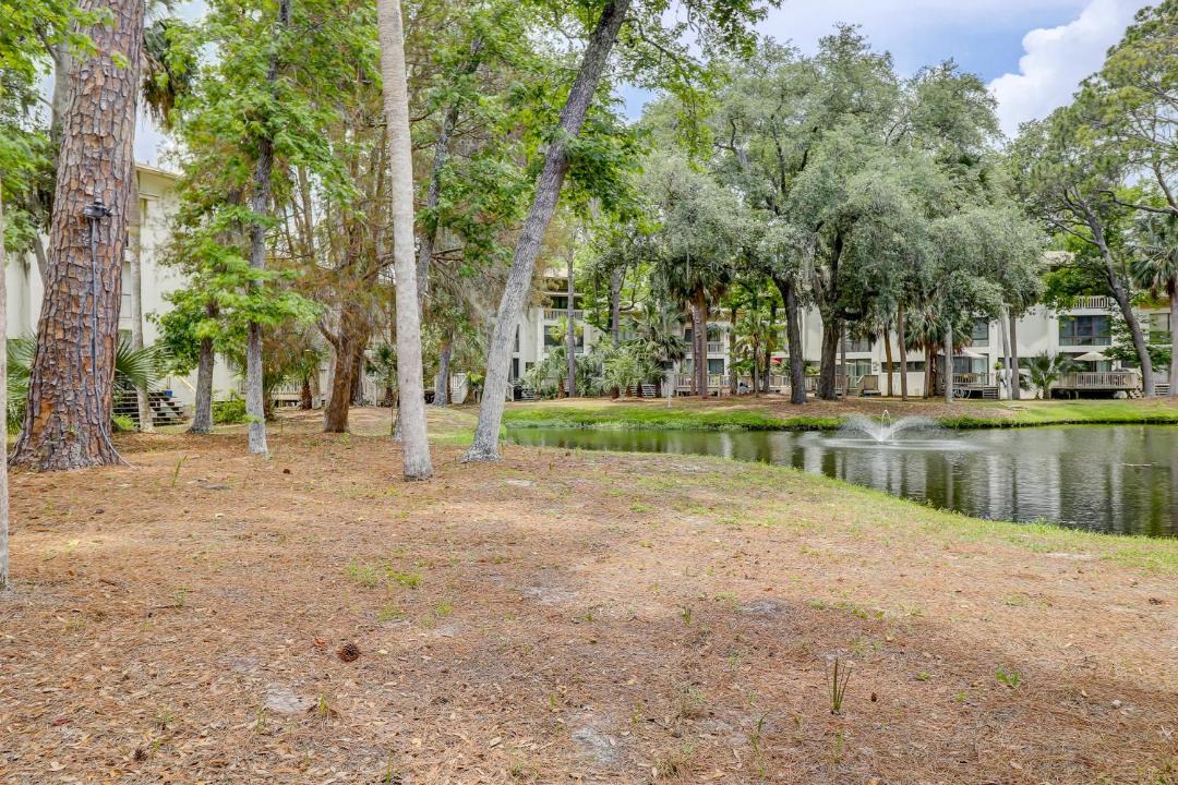 Photo of Others in Hilton Head Island