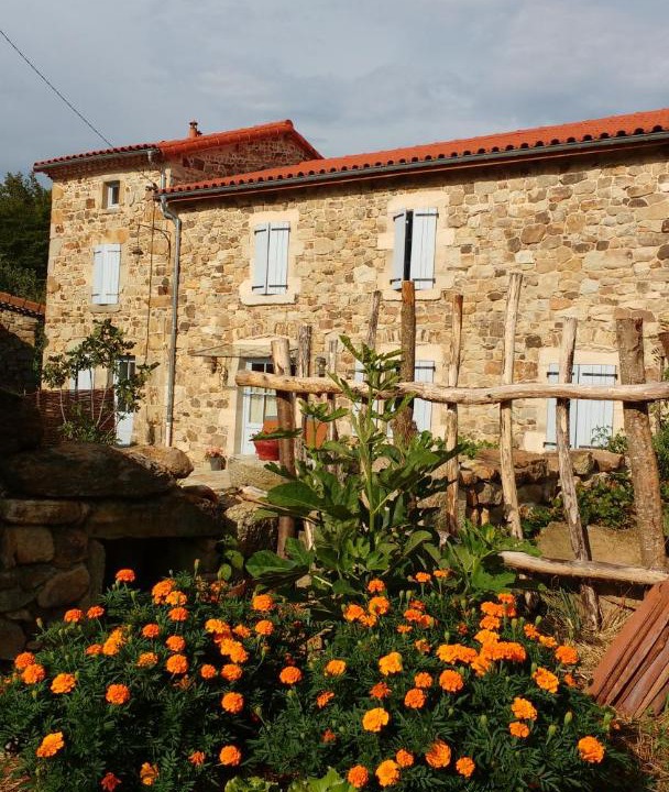 Photo of Buildings in Ravel