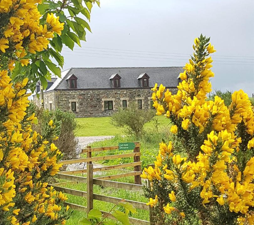 Photo of Others in Invergordon