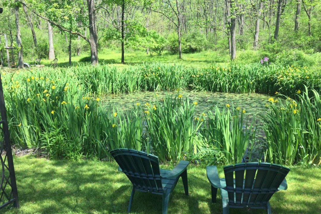 Photo of Others in Stony Run