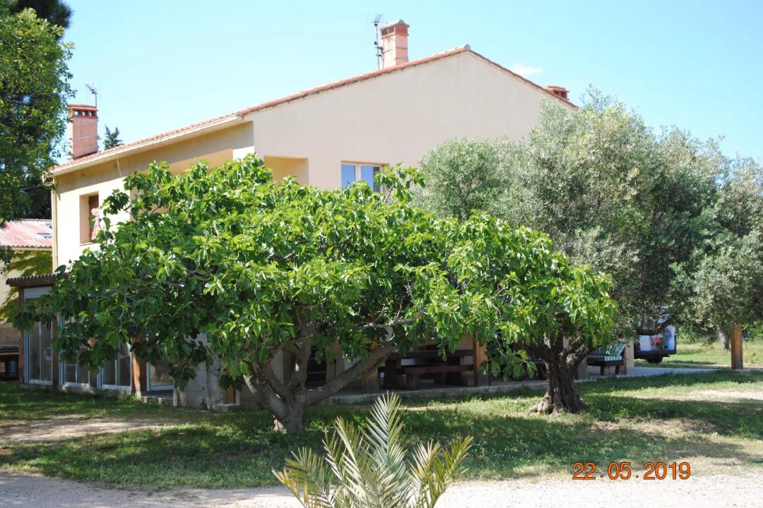 Photo of Others in Le Soler