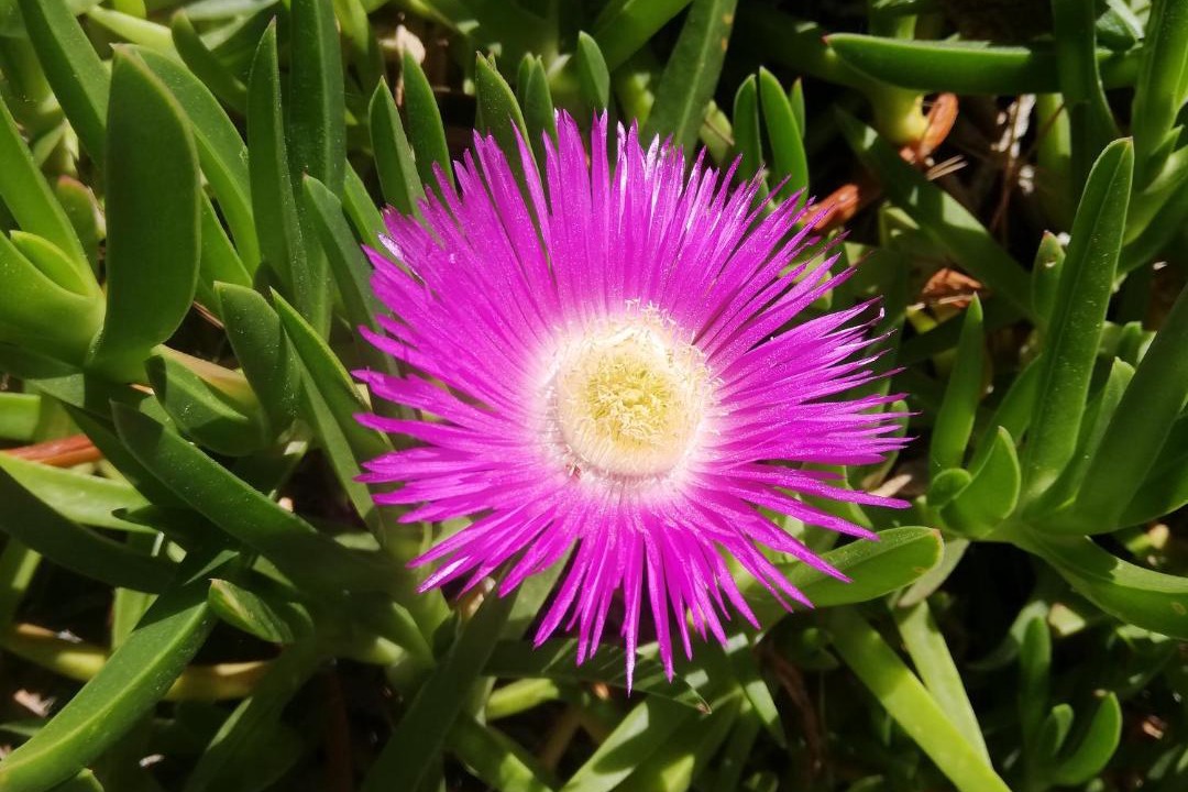 Photo of Outdoor in Gassin