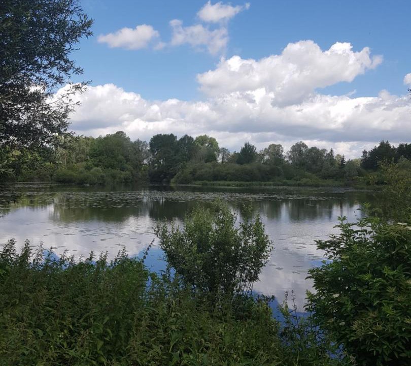 Photo of Others in Fressies