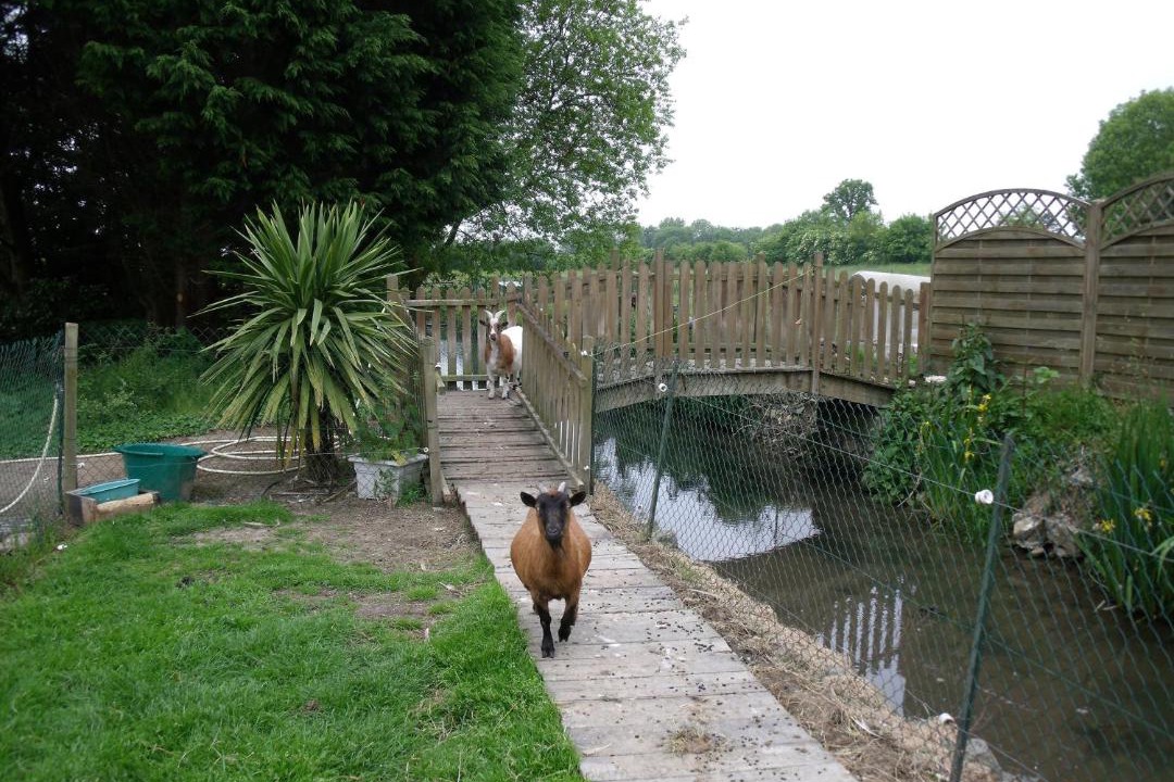 Photo of Others in Turqueville